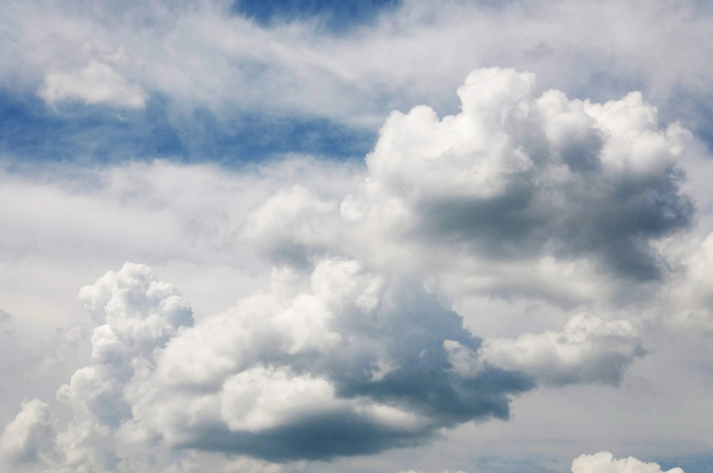 Cloud form