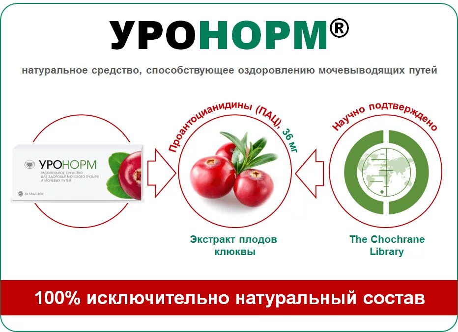 Уронорм. Уронорм таблетки. уронорм 30. уронорм инструкция по применению.