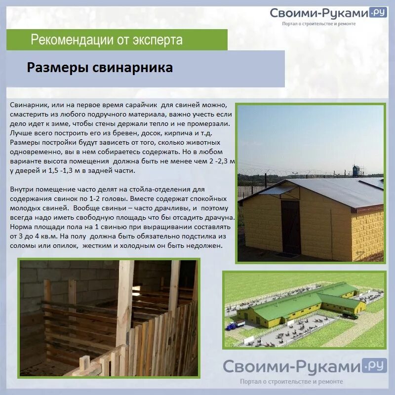 Свинарник размеры. Сарай для свиней на 50 голов. сарай для свиней планировка. свиноферма проект. свинарник проект мини.