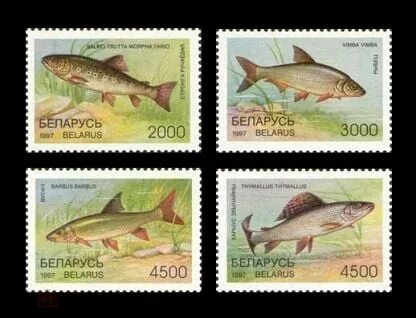 Беларусь 1997