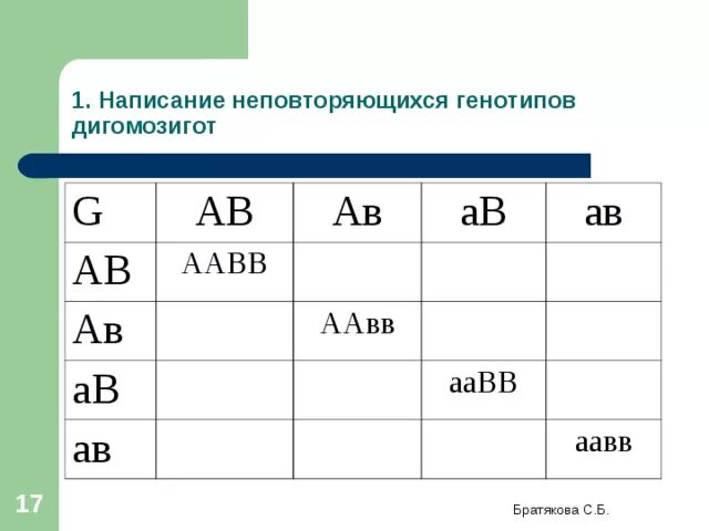 Дигетерозигота