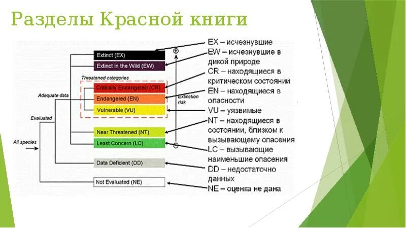 Красная книга россии цвета. Разделы красной книги. Разделы красной книги России. Структура красной книги. Цвета красной книги.