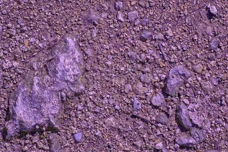 Purple ground