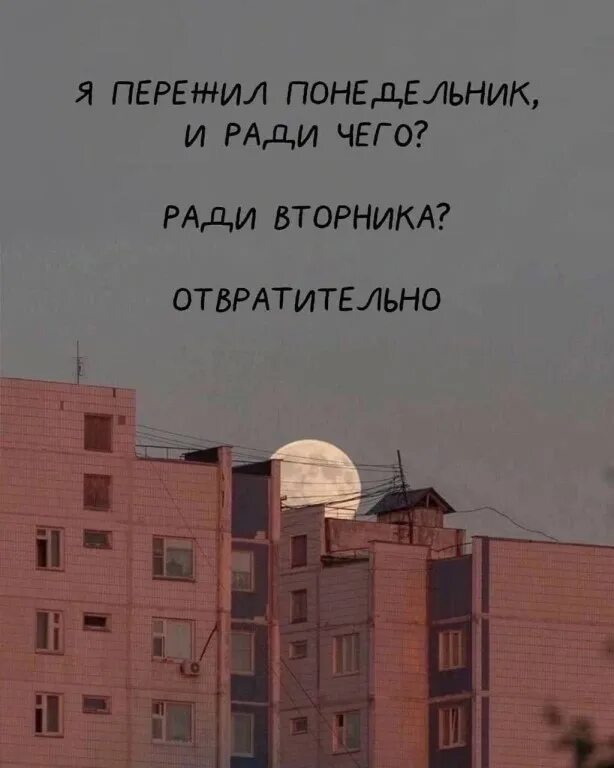 Я пережила тех и этих. Я пережил 2008. Умей пережить минуту когда кажется что все потеряно. Я пережила тех и этих. Я переживаю.