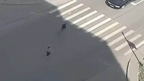 Бросаться под колеса