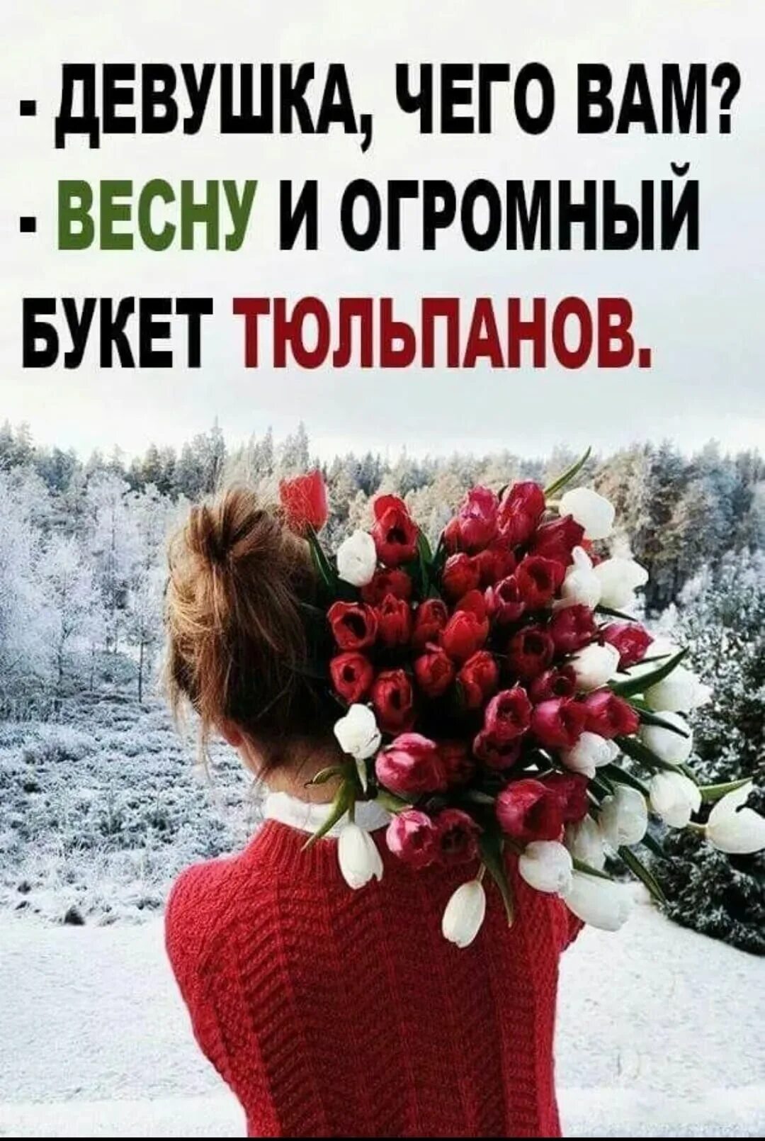 Тюльпаны зимой. Хочу весну. Хочу весну. Хочется весны счастья. Девочка бабочка.