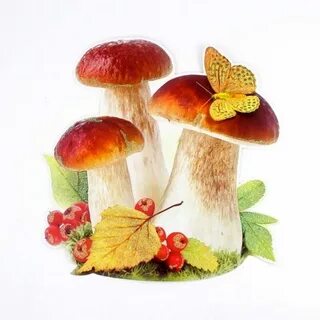 Детские грибочки