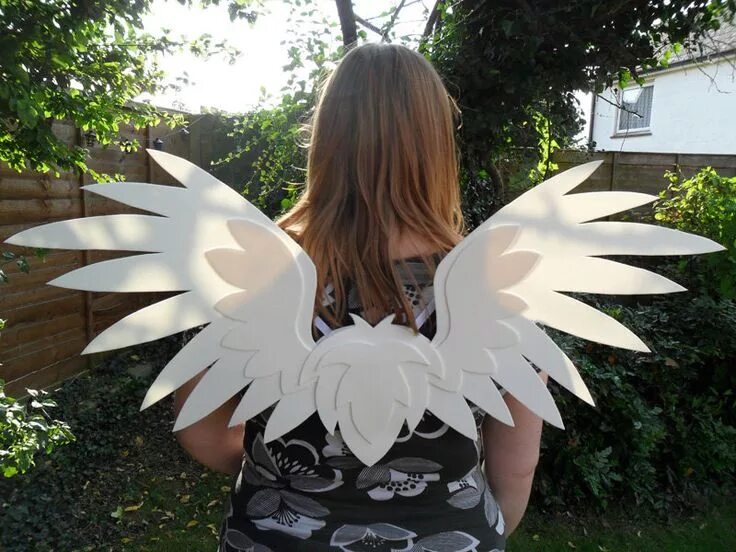 Could it wings