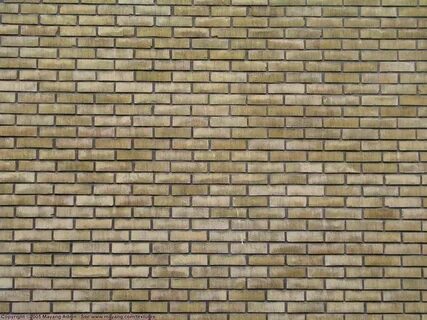 Brick date