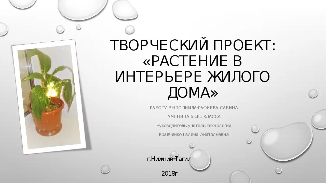 Растение в интерьере проект 6 класс. Творческий проект растения. проект растения в интерьере жилого дома. творческий проект по технологии про растения. творческий проект растения в интерьере жилого дома.