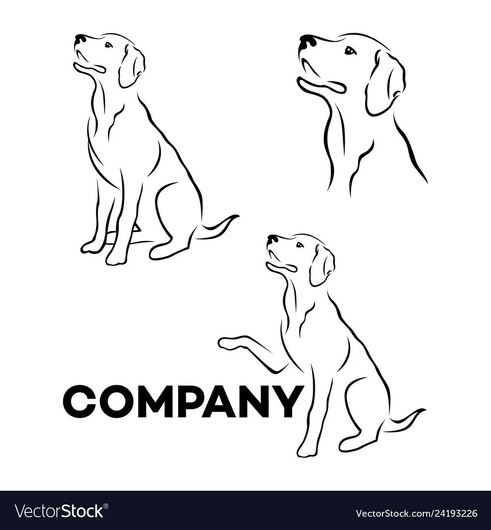 Логотип лабрадор. Лабрадор векторный рисунок. Логотипы с породами собак. Лабрадор иконка.
