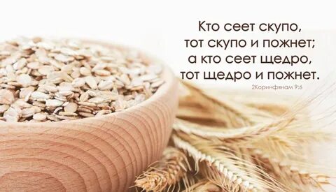 Кто сеет мир пожнет счастье значение пословицы
