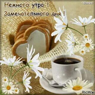 Ласковое утро настает