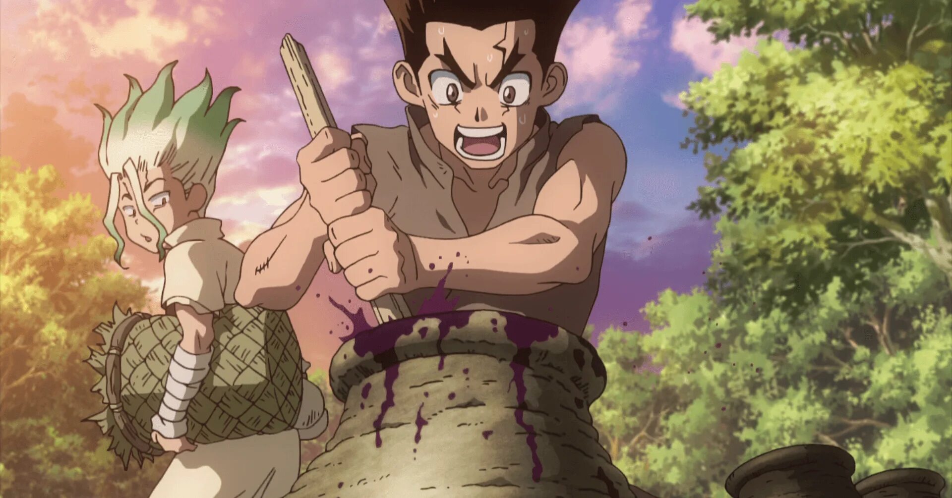 Dr stone 2019. Сенку доктор Стоун.