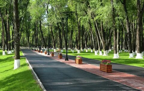 Парки и скверы рощи сады