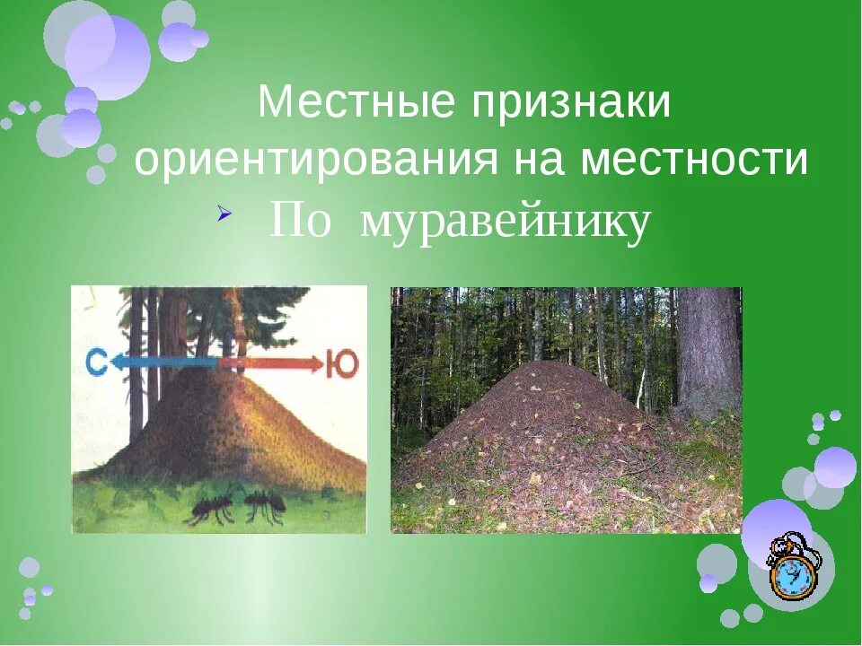 Местность какая признак. Местность какая признак