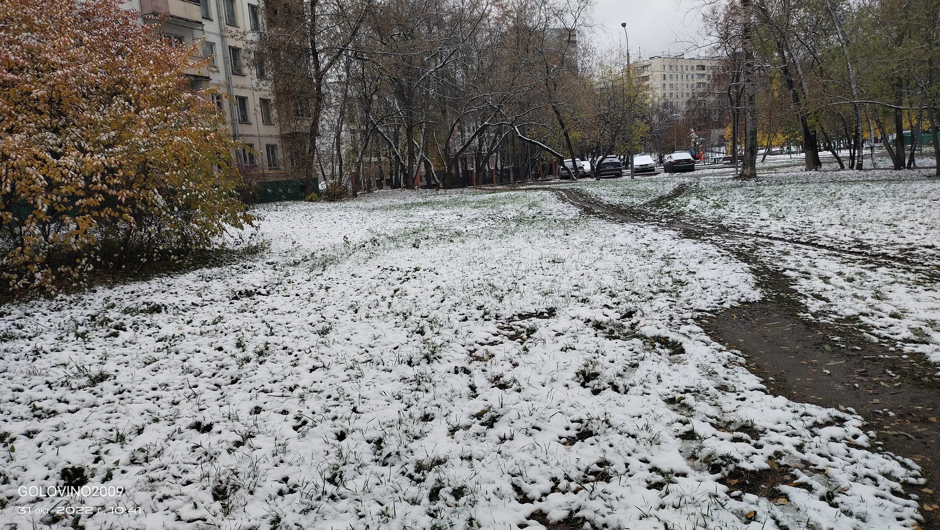 В каком году в мае выпал снег. Снег. Мокрый снег. Сильный снег. Огромный снегопад.