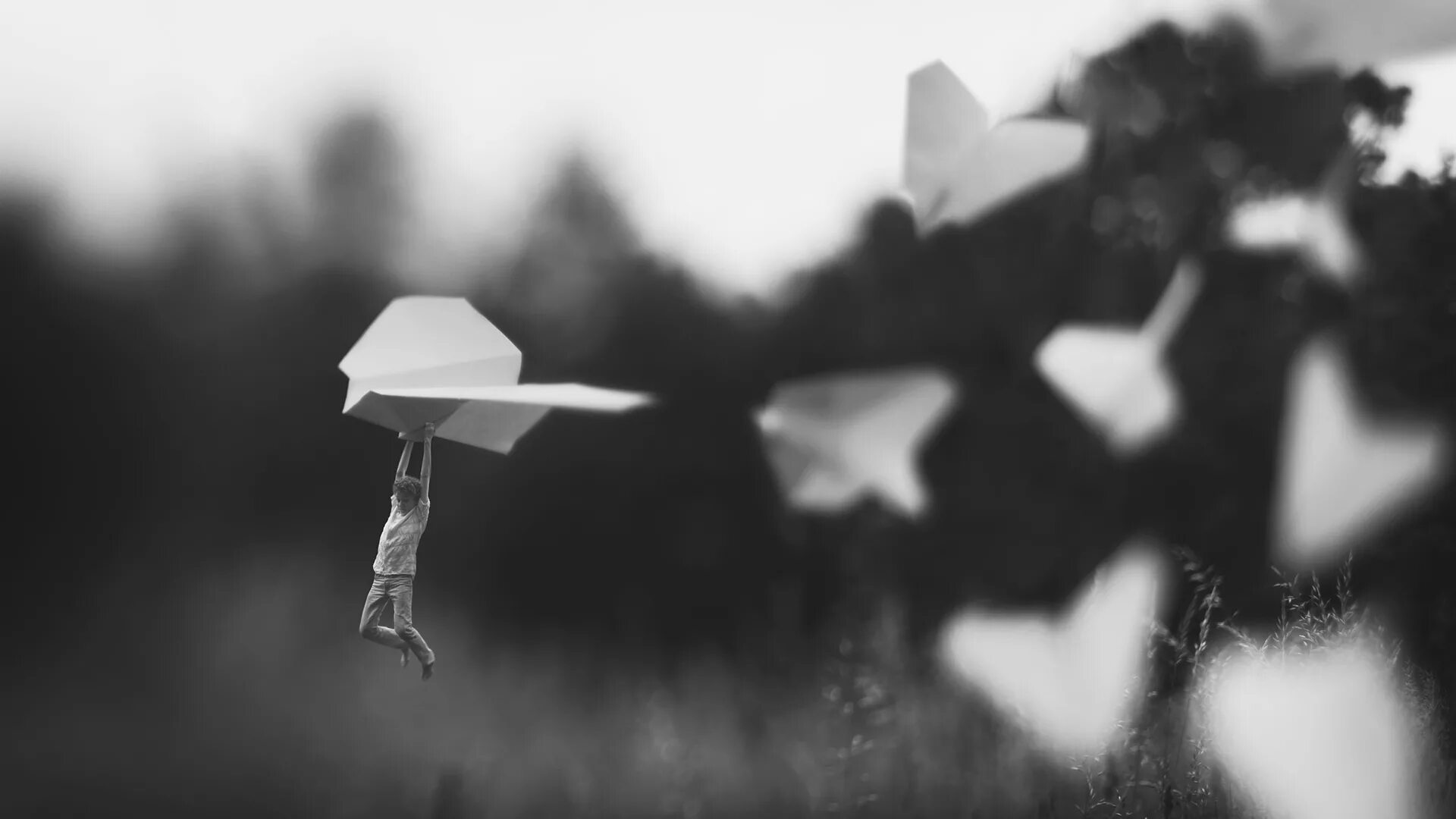 Paper wind