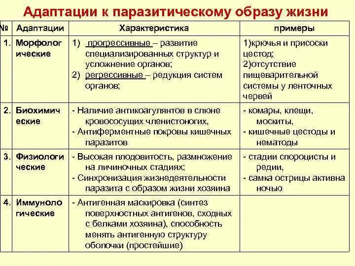 Адаптация биология 9 класс таблица. Морфологические адаптации к паразитическому образу жизни. Адаптации паразитов к паразитическому образу жизни. Характеристика адаптации. Адаптация характеристика и примеры.