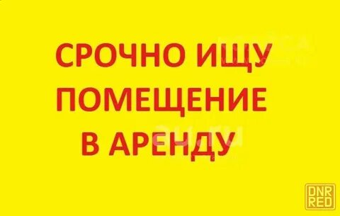 Сеть ищет аренду