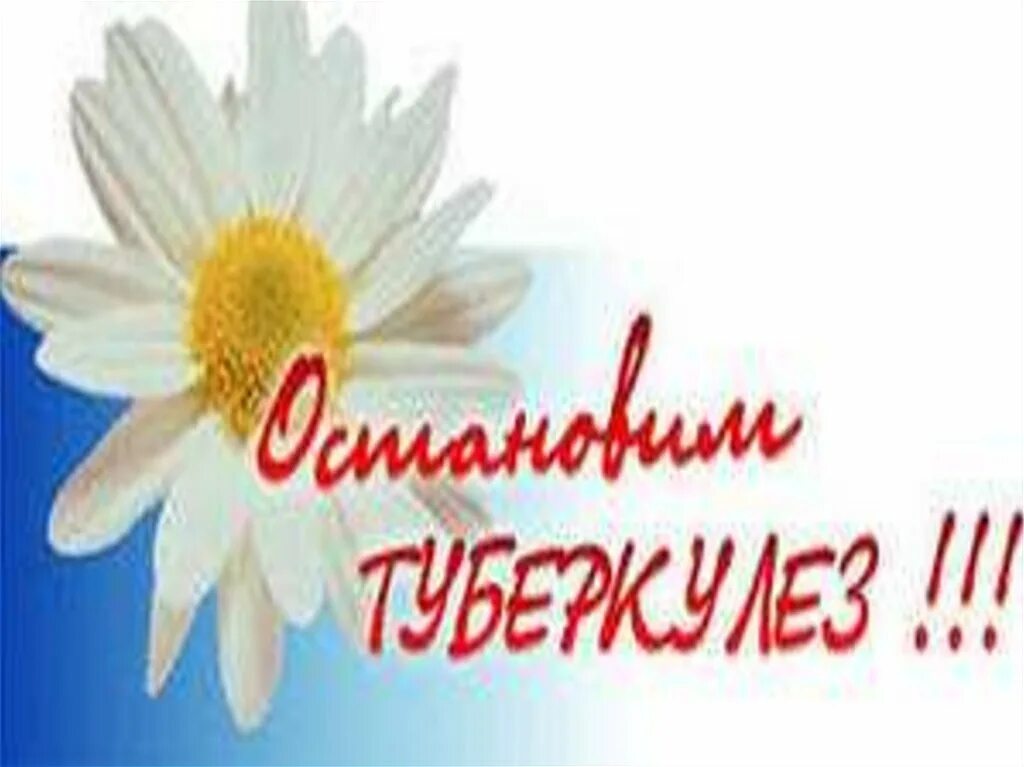 Месячник по туберкулезу. Борьба с туберкулезом. День туберкулеза. Ромашка день борьбы с туберкулезом. Месячник профилактики туберкулеза.