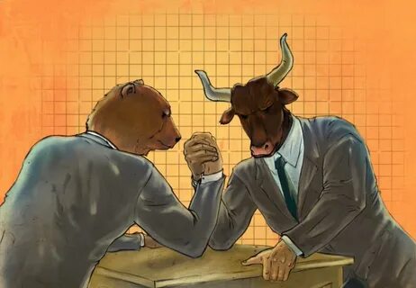 Bull vs bull