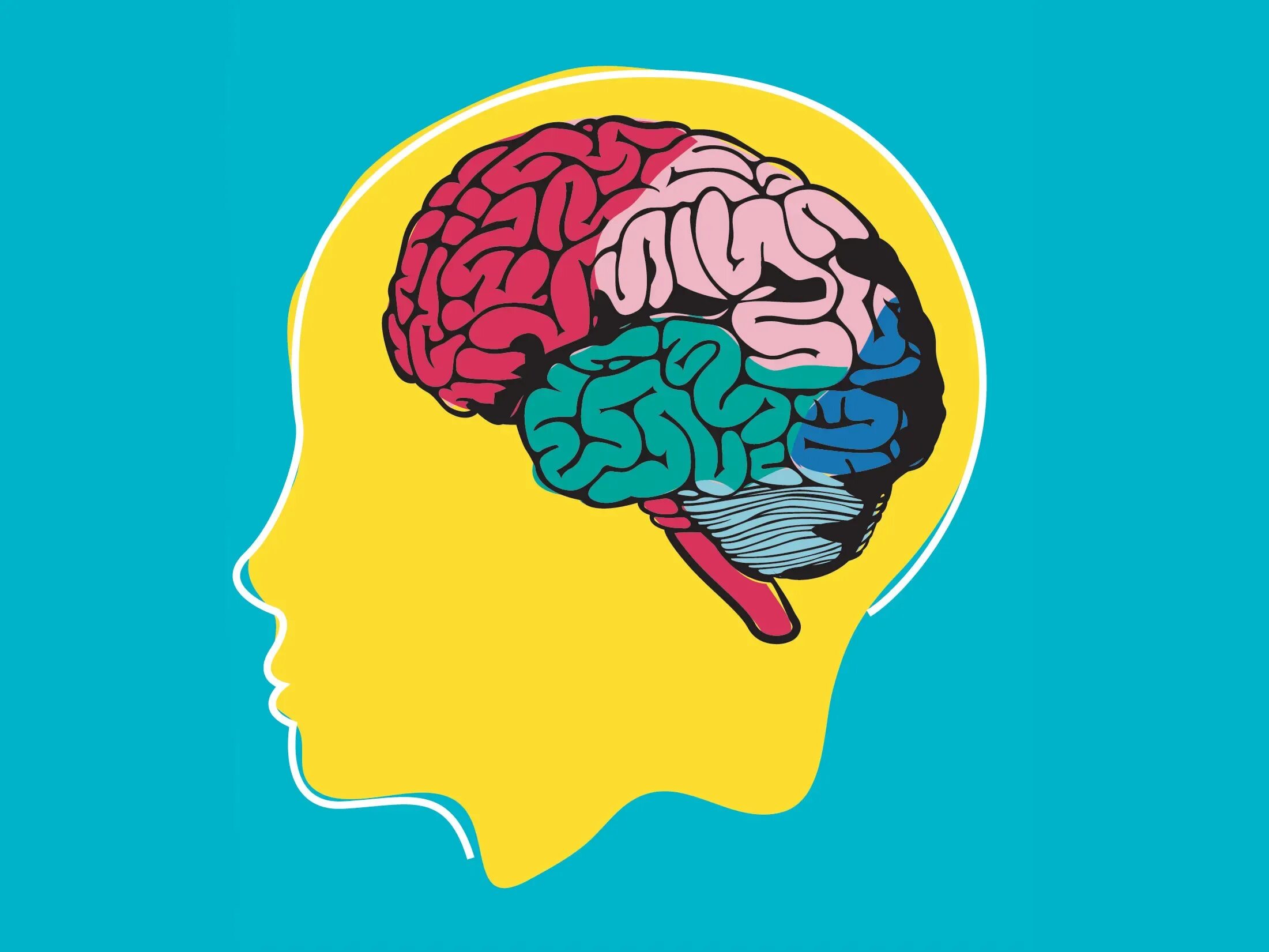 Brain development