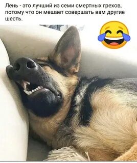 Пятница, 1 день зимы : otrageniya - ЖЖ