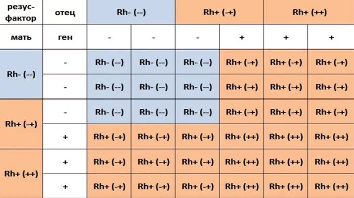 У отца положительный резус-фактор а у матери отрицательный. Если у папы 2 группа резус фактор. Резус фактор 2 группы крови. Группа крови отрицательный и положительный резус у отца.