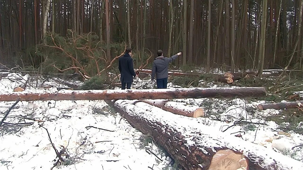 Под угрозой уничтожения