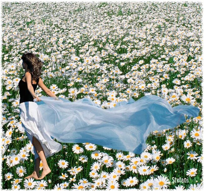 Поле цветов во сне. Девушка с ромашками. Девушка среди цветов. Красивые девушки с ромашками. Фотосессия в поле с ромашками.