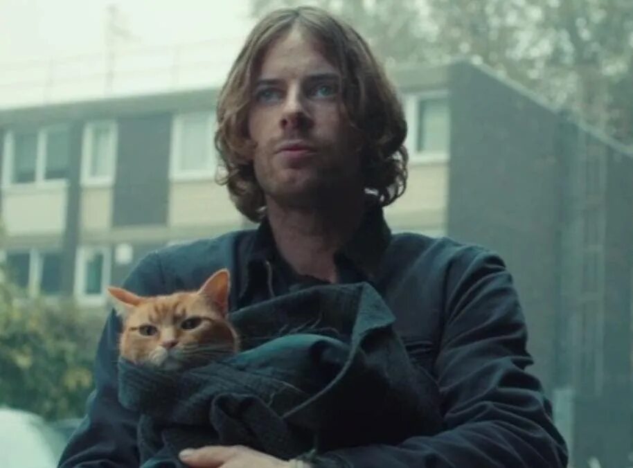 It was a cat named