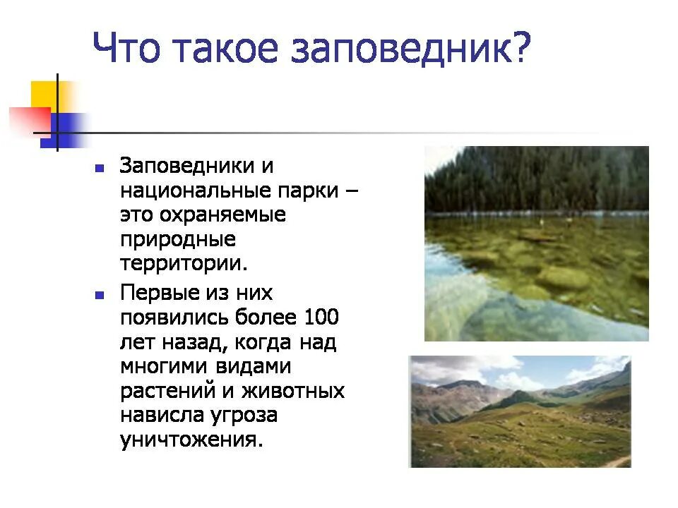 Первый национальный парк на территории россии. Заповедники и национальные парки России проект. Презентация на тему национальные парки. Доклад на тему по заповедникам и национальным паркам. Доклад что такое заповедники и национальные парки.