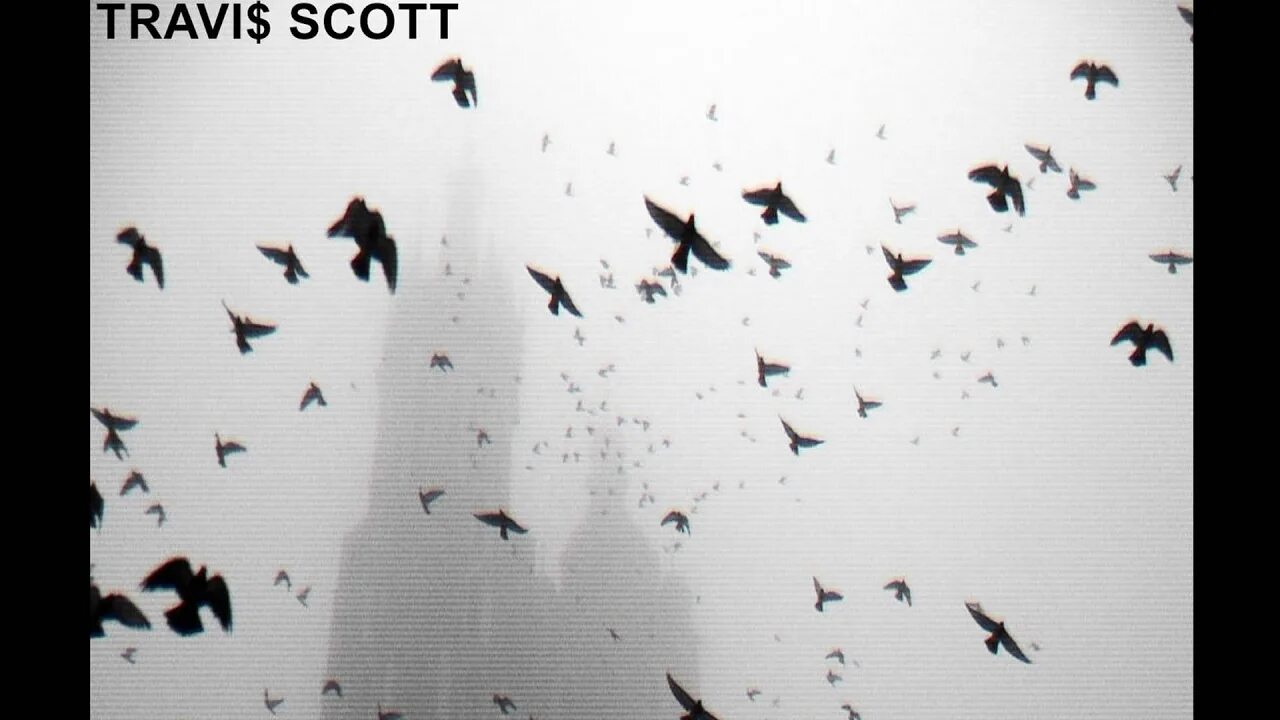 Трэвис Скотт альбом. Трэвис Скотт обложка альбома. Travis Scott обложка альбома. Birds in the Trap Sing MCKNIGHT Трэвис Скотт обложка.