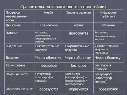 Составьте и заполните таблицу сравнительная характеристика