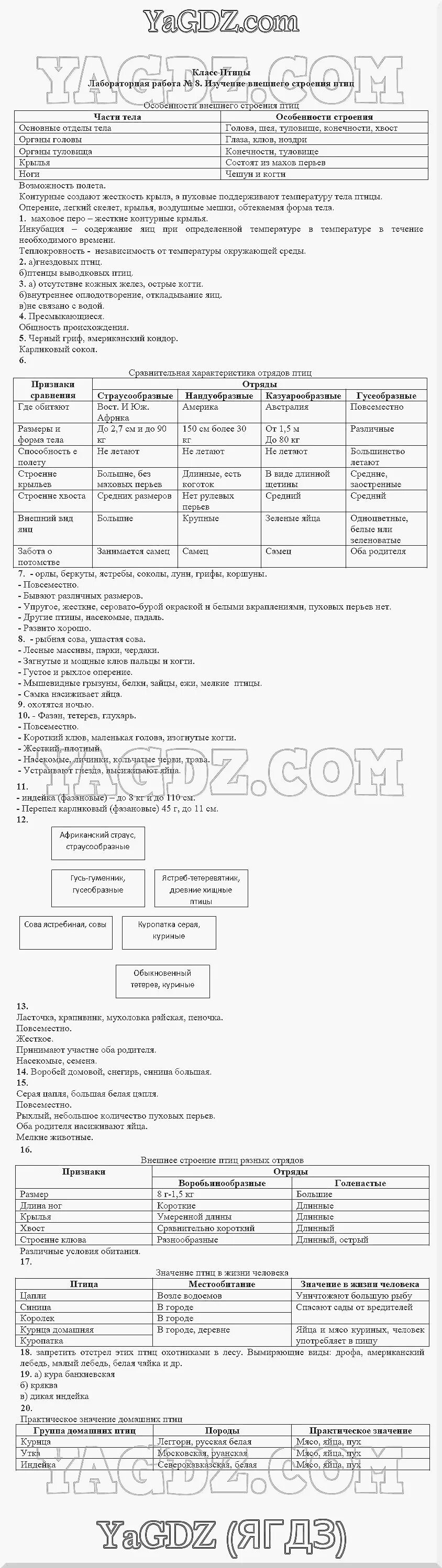 Таблица по биологии 7 класс изучение внешнего строения птиц. Лабораторная работа по биологии 7 кл внешнее строение птицы. Лабораторная работа по биологии 7 класс 9 внешнее строение птицы. Лабораторная работа №8 изучение внешнего строения птиц..