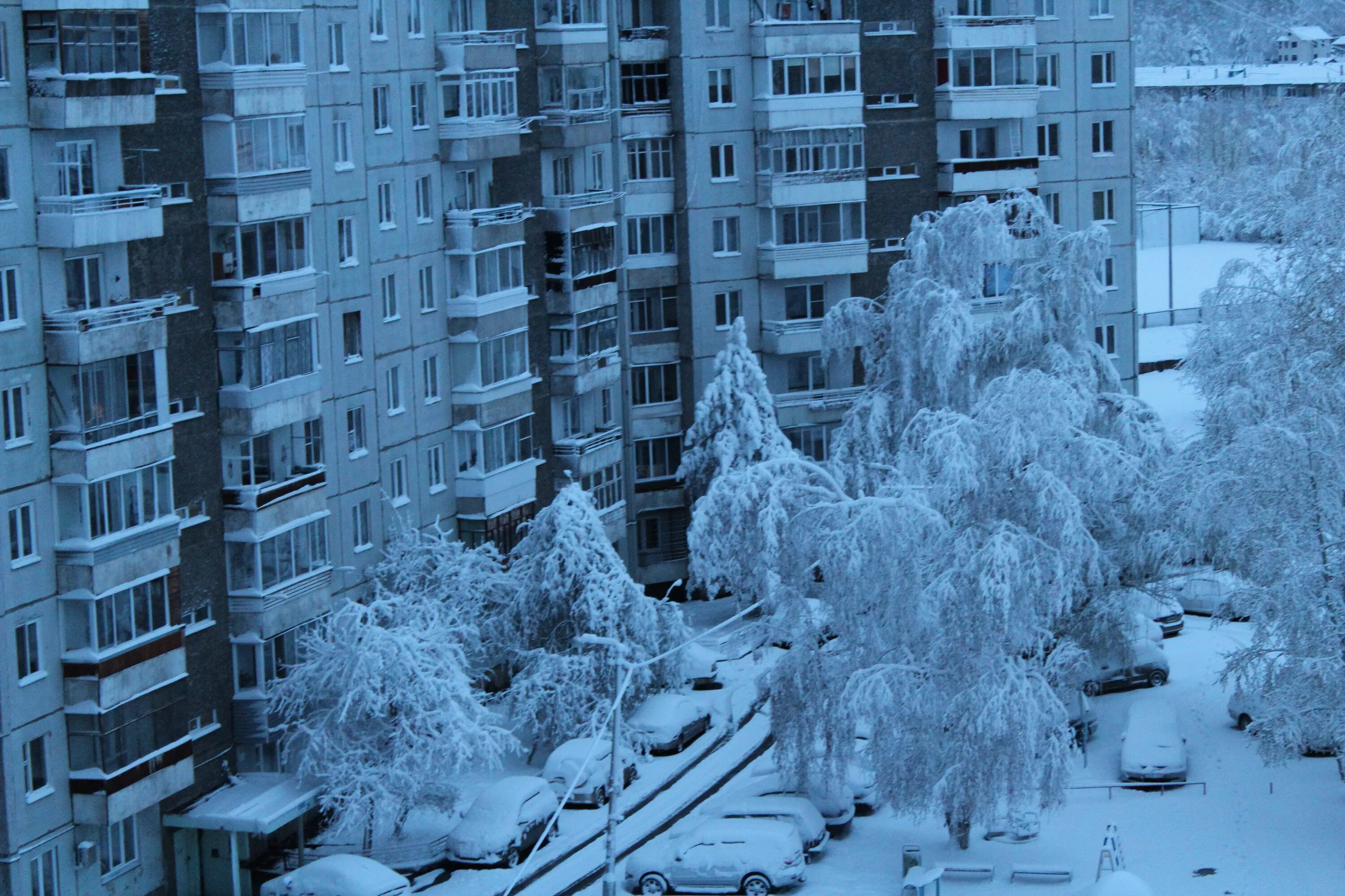 Красноярск улица толстого. Словцова 16. Словцова 16 Красноярск. Улица Петра Словцова Красноярск. Словцова 12 Красноярск.