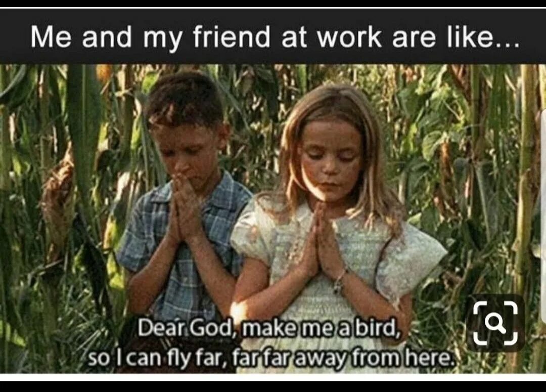 Make me a bird. Цитаты из фильма для дженни. far away from here. bird фильмы со словом. старый детский фильм far far away.