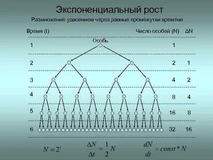 Через равные промежутки