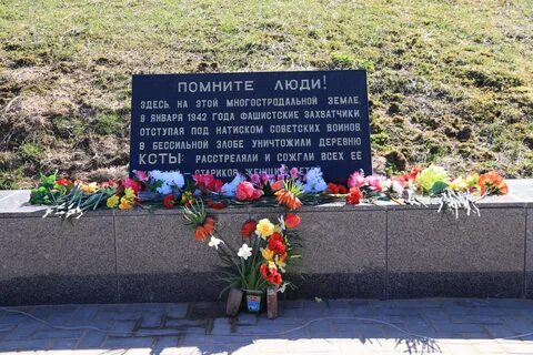 Помнить область