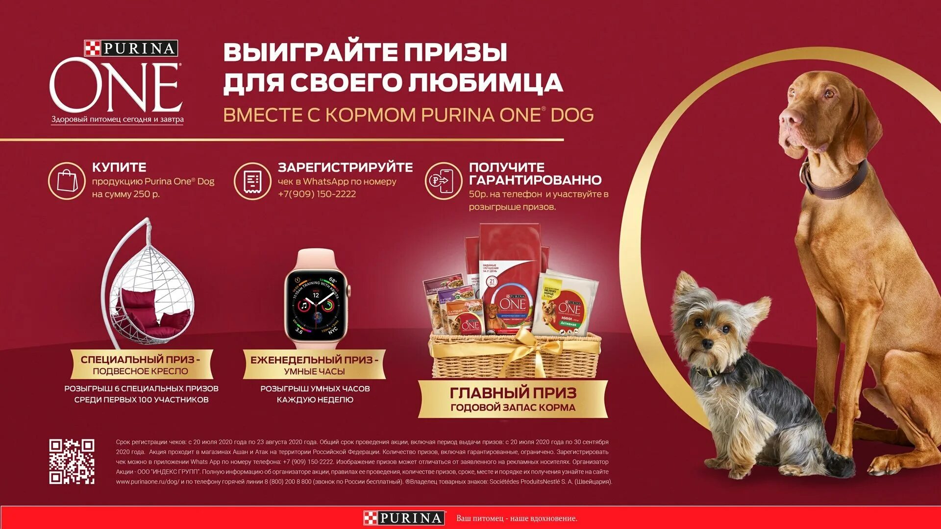День рождения ашан 2021. Ашан пурина ван. Purina акция. Ашан пурина ван. Корм пурина для кошек зеленая упаковка.
