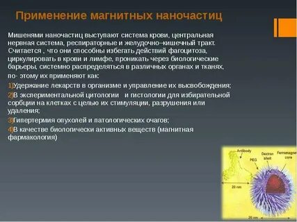 Применение магнитного поля в медицине