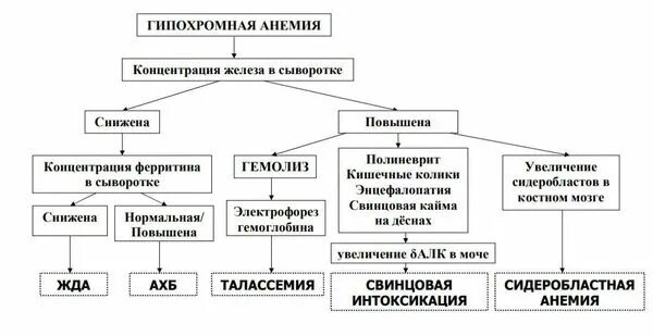 Гипохромная микроцитарная анемия. Гипохромные микроцитарные анемии классификация. Схема анемии гипохромные. Микроцитарная гипохромная анемия диагностика.