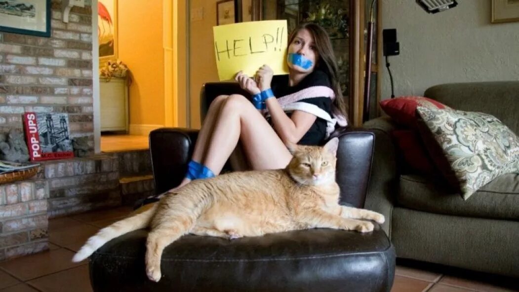 хозяин кота