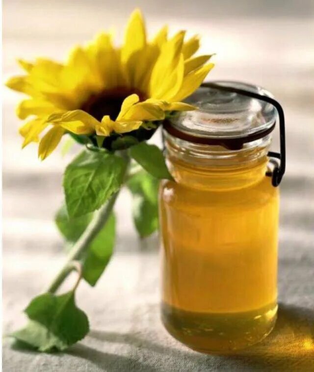 Мед подсолнух. Подсолнечниковый мёд. Мед подсолнух с разнотравьем. Мёд подсолнечный разнотравие. Цветочный подсолнечный мед.