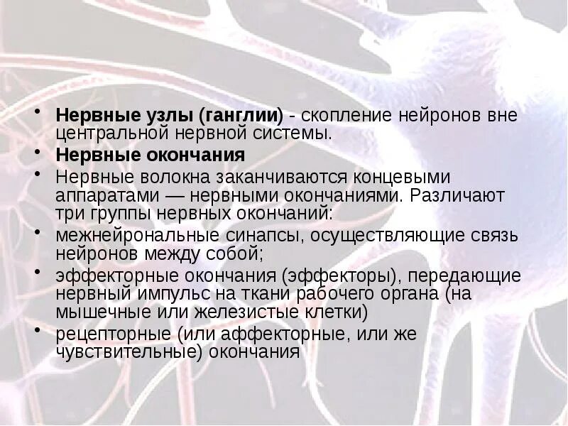 Нервные узлы это скопление. Нервные узлы функции. Нервные ганглии нервные волокна. Скопление нейронов ганглия.