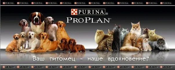 Баннере вашего. Purina ваш питомец наше Вдохновение. Purina Pro Plan логотип. Корма для кошек и собак баннер. Проплан баннер.