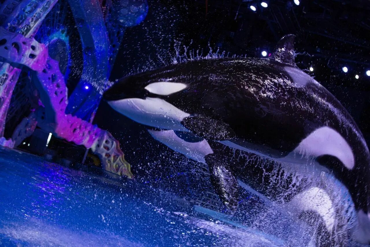 Тетрис режим работы в праздники. Стройматериалы реклама баннер. Магазин тетрис в великом новгороде режим работы. Тетрис режим работы великий. Тетрис режим работы в праздники.