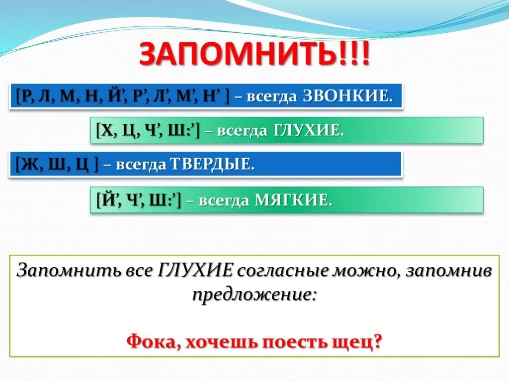 Звонкие всегда мягкие