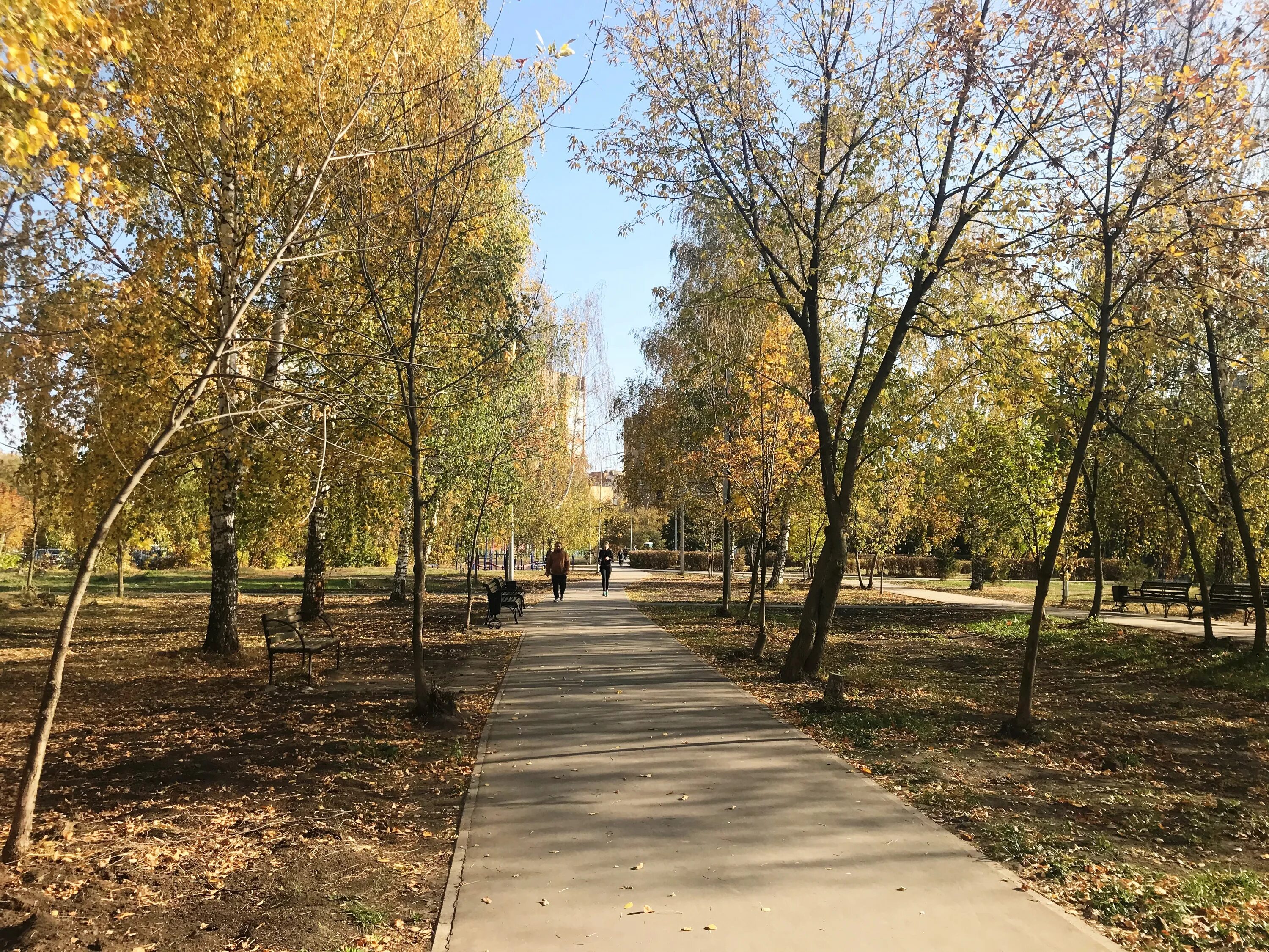 Парка рязань купить. Рязань парк. Рязанский Комсомольский парк. Верхний городской парк Рязань. Парк на Новаторов Рязань.